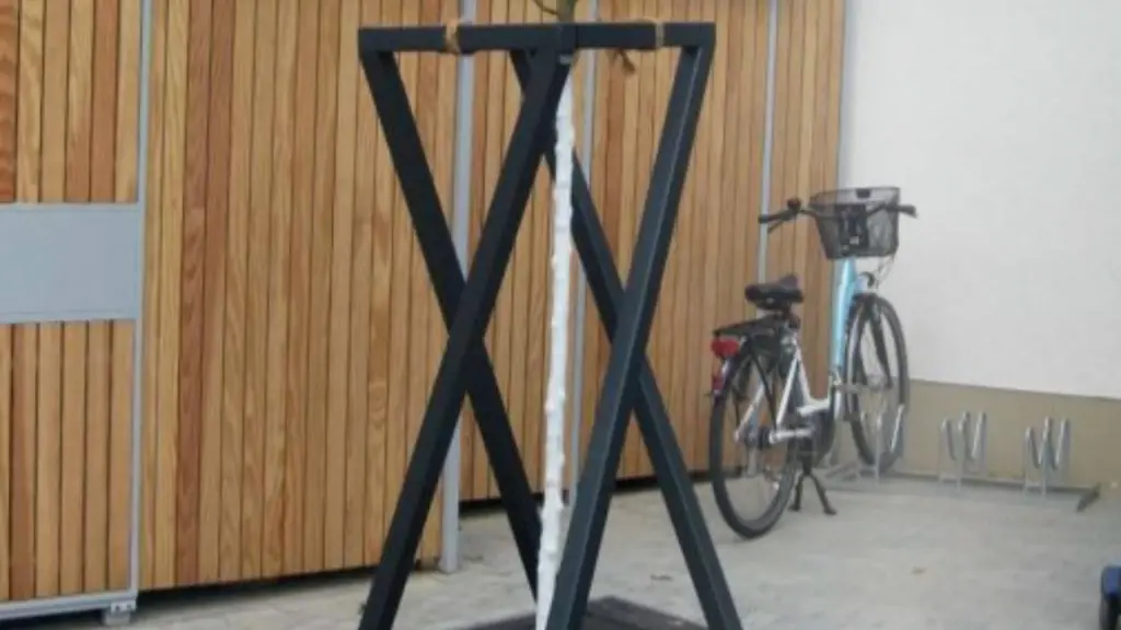 Corset d'arbre X2, photo 3