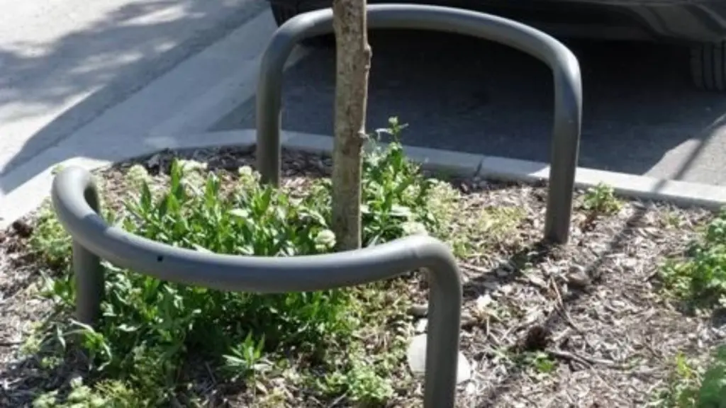 Corset d'arbre RUBO en acier